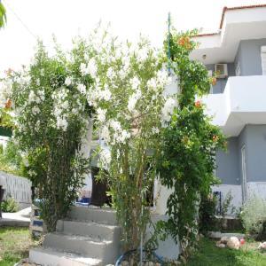 Karmik Concept Apartments Afantou Luaran gambar